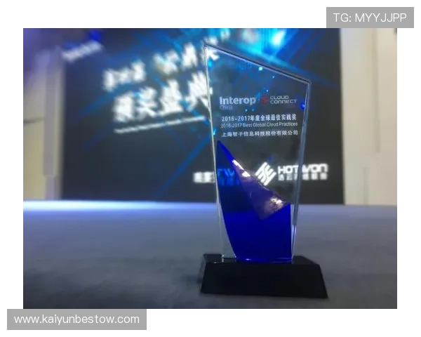 云开国际站优化方案详解帮助企业打造国际品牌影响力的最佳实践指南